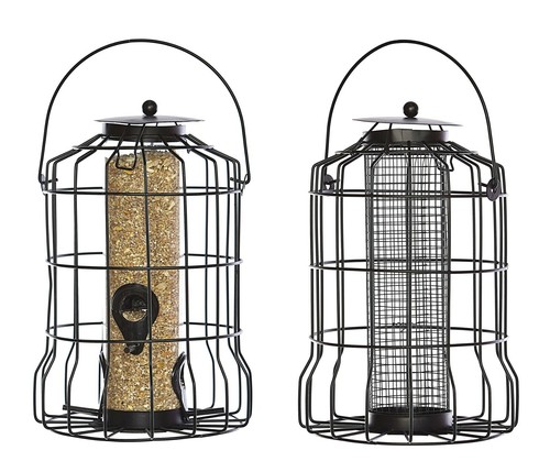 Squirrel proof resistant - resistant, wild