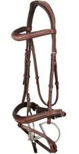 Equine Innovations Ocala