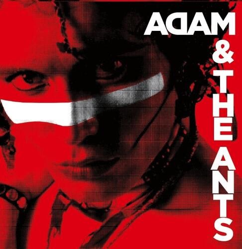 Adam ant the - :, cd