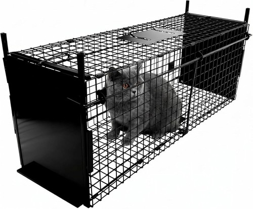 Humane animal trap cage - trap, double