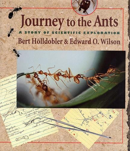 Journey the ants - journey,