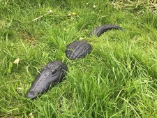 Crocodile Stone Concrete