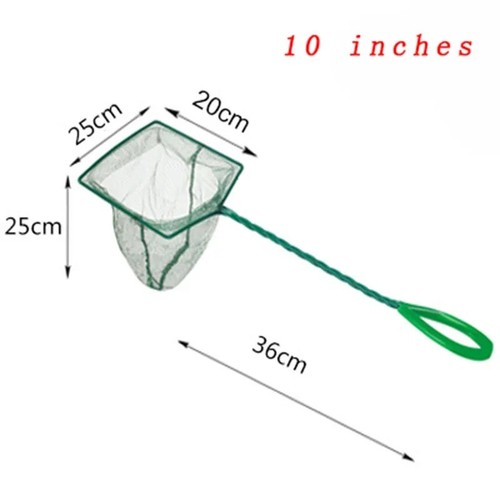 Aquarium fish net - fish, tropical