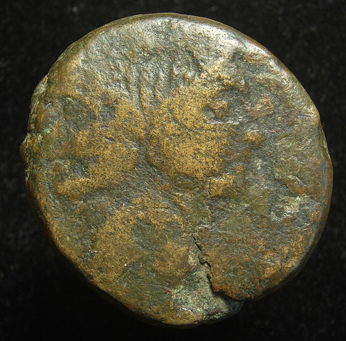 Sextus pompey rev prow - ae, rev.