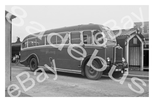Bus photograph red white - photograph, &