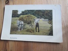 Postcard of HAYMAKING (Posted SPILSBY 1909) Horse drawn cart & Hay