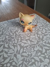 Littlest Pet Shop LPS Short Haired Cat 816 by Hasbro dated 2006