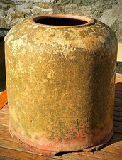 Antique Terracotta Rhubarb