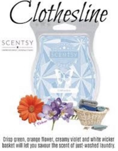 Scentsy bundle bars of - scentsy, 3