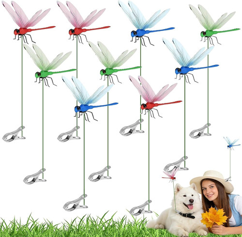 Pack dragonfly clips - pack,