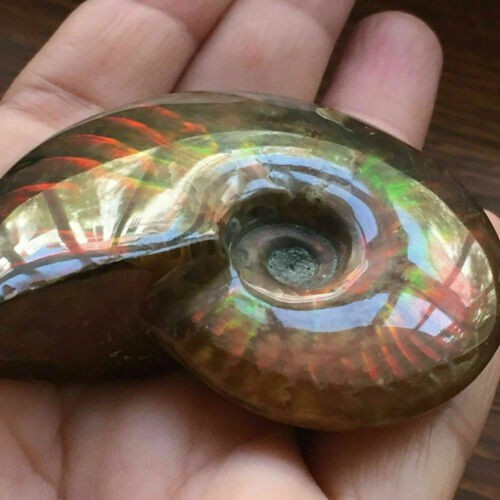Ammolite stone facet - stone,