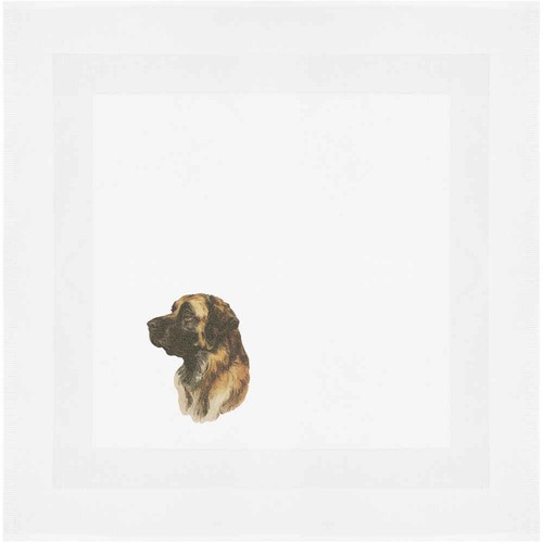 Leonberger dog portrait - 'leonberger, portrait'