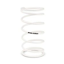 Sprung Variator Malossi White