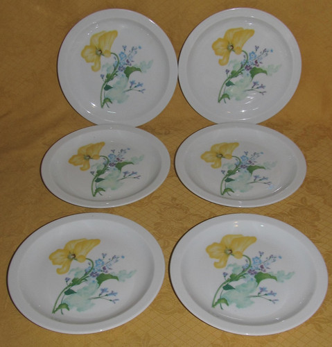 Limoges haviland garden - limoges, my