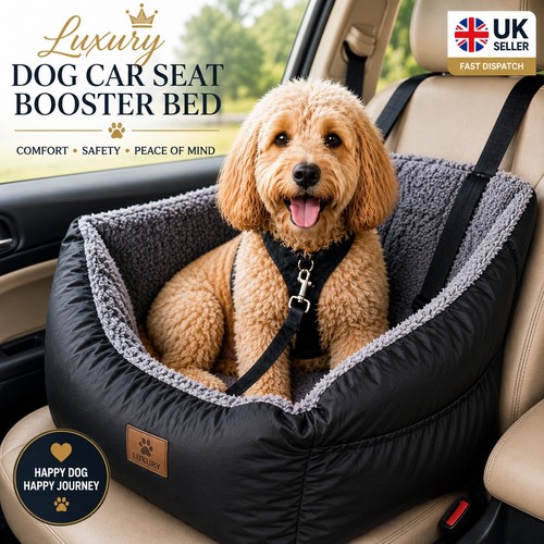 Luxury medium dog - luxury, car