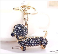 Silver black gold Dachshund