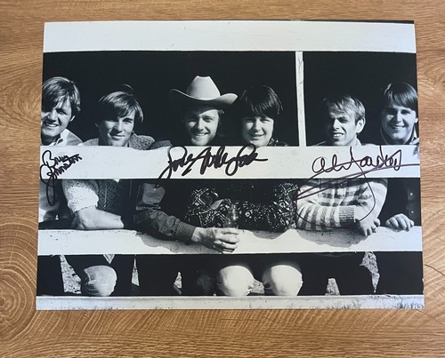 Beach boys signed 11x14 - boys, *