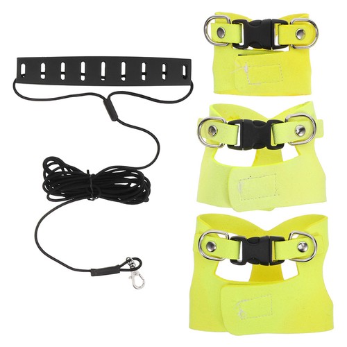Ferret accessories small - accessories,