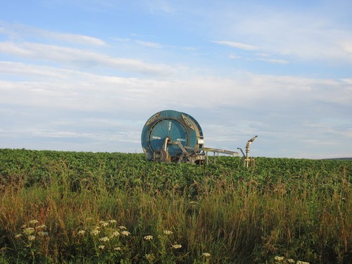 Photo crop irrigation - a3,