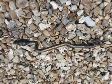 Genuine John Deere Front Draft Arm Deck Lift Linkage For Tractor Mower GX20497