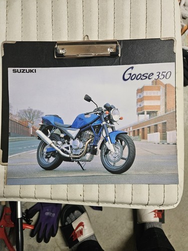 Suzuki goose 350 - goose,