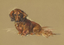 DACHSHUND DOG GREETING CARD
