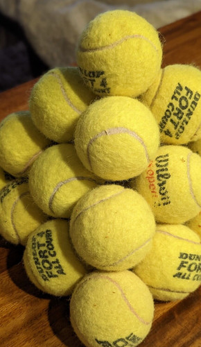 Used tennis balls for dogs - balls,