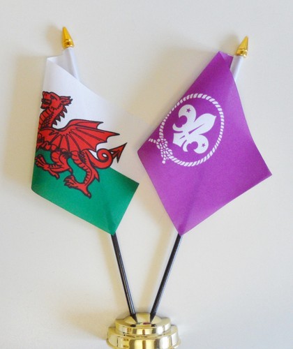 Wales international scouting - wales, &