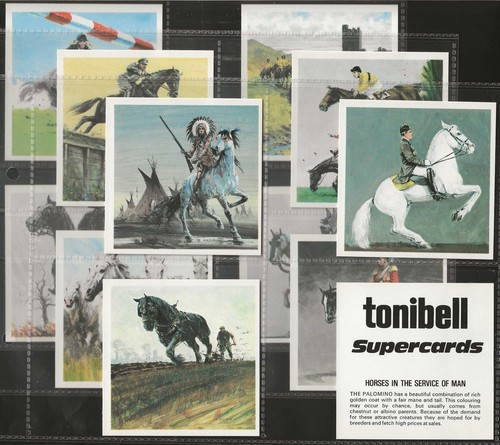 Tonibell full set horses in - set-,