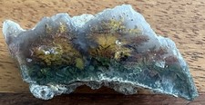 Natural Forest Moss Agate