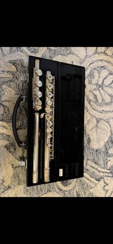 Flute musical instrument - flute,