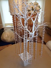 90 cm. White Manzanita Tree