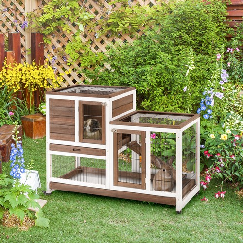 Wooden rabbit hutch guinea - rabbit, hutch,