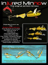 INJURED MINNOW JOINTED BROKEN
