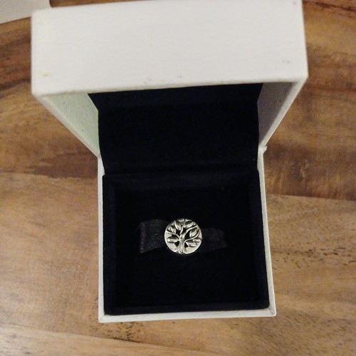 Pandora silver ale - (1414), s925