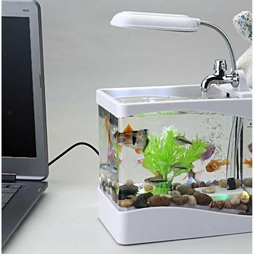 Usb desktop mini aquarium fish - usb,