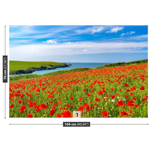 Photo wallpaper wall mural - photo,