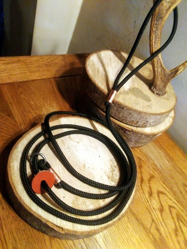 Handmade 6mm gun dog slip