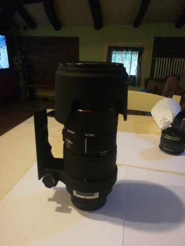 Sigma 500mm 6 - ex, 50-500mm