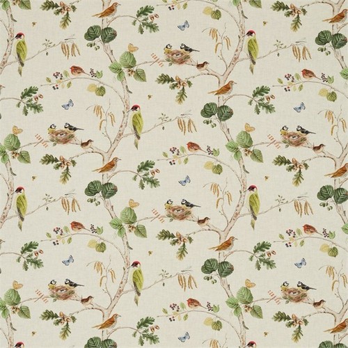 Sanderson woodland chorus - sanderson,