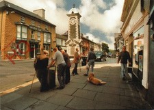 Picture Postcard> Rhayader, Radnorshire