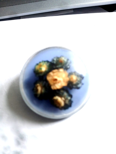 Vintage blue plastic dome - plastic,