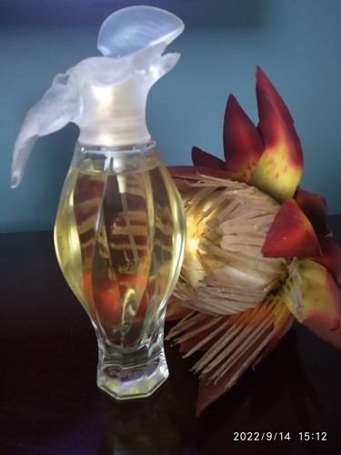 Nina ricci air temps - nina, du