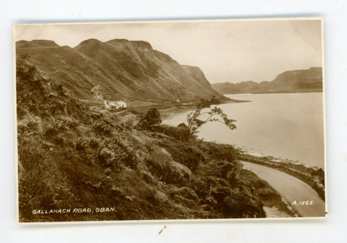 Vintage postcard real photo - postcard,