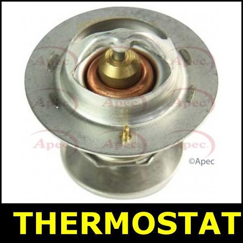 Thermostat for ford p100 - for,