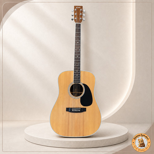 Elite takamine acoustic - elite, by