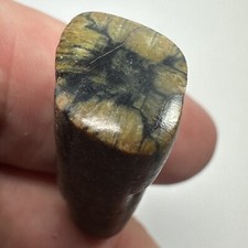 Chiastolite Andalusite Stone