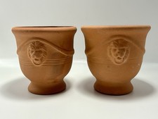 Terracotta clay plant pots