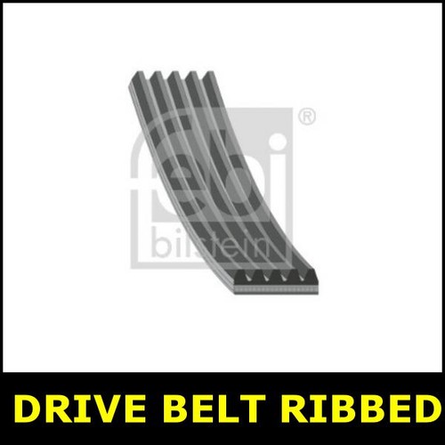 Alternator drive belt fits - alternator,