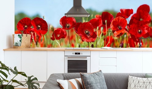 Red poppies b4769 wallpaper - red,